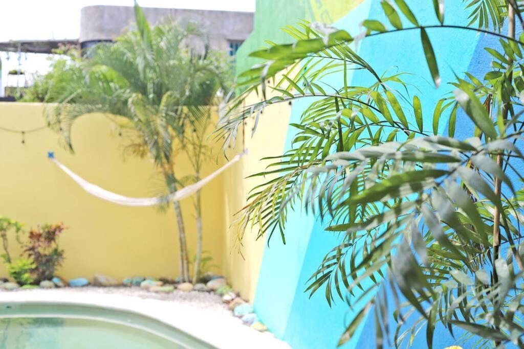 Studio -Trees At Mikasa- Near Beach, Pool, Fast Wifi, Ac & King Bed Puerto Escondido  Kültér fotó